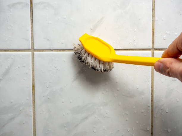 Best Health and Safety Mold Remediation in Storrs, CT